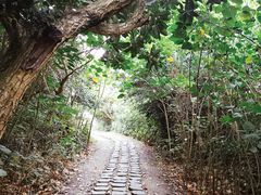 -鹅銮鼻公园