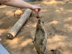 -北戴河集发农业梦想王国