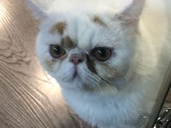 -宠物世家(仲盛世界商城店)
