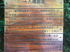 -十八棵（老龙井）御茶园(老龙井店)