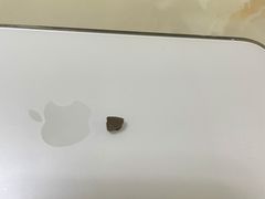 -小苍兰风铃草蛋糕甜品(沈阳店)