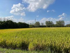 -嘉北郊野公园