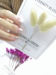 -7嘉nail eyelash·美甲美睫