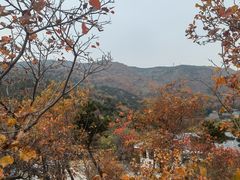 -北京西山国家森林公园