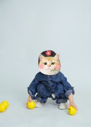 -蜜阁孕味亲子摄影(赛高店)