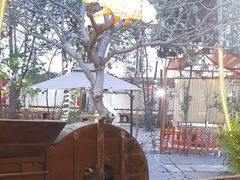 -陶缘一号·四季缘·老字号顺德菜·户外婚礼家宴(西滘店)