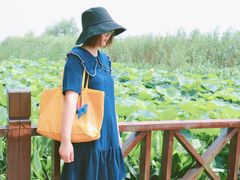 -荷塘月色湿地公园·向阳花洲