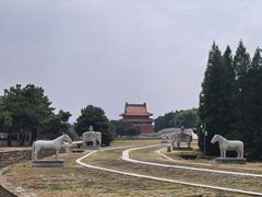 -清东陵