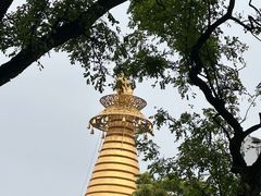 -护国法轮寺