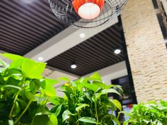 -新侨小馆(东直门北小街店)
