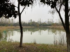 -合肥野生动物园