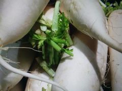 白萝卜-桐庐江南农贸市场