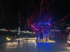 -大梅沙海滨公园-停车场