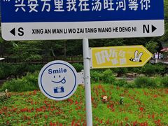 -汤旺河林海奇石景区