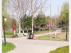 -东升文体公园