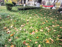 -西安交通大学(雁塔校区)