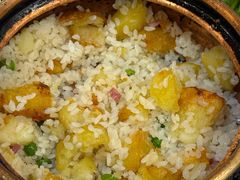 -姚记抚仙湖野生菌石锅鱼庄