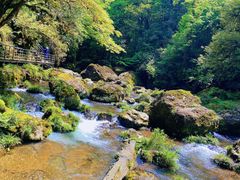 -龙苍沟森林公园