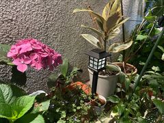 -About Bistro關於·泰式家庭料理