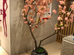 -汤森悠生活文化汤(江宁万达店)