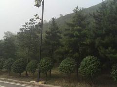 蒙山大佛-蒙山大佛景区