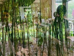 -荷风细雨·中国茶宴(碧云店)