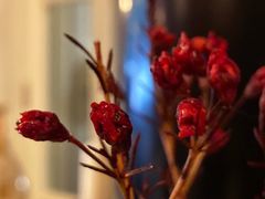 -成桂西餐厅·42年的味道(五大道疙瘩楼店)