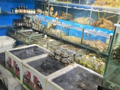 -岳各庄批发市场(西四环中路店)