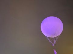 -花博汇(知音花月夜)