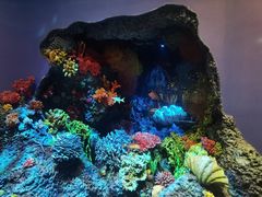 -中国湿地博物馆