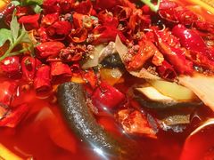 -成都驻京办餐厅(蜀都宾馆店)