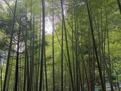 -藏龙百瀑风景区