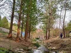 -白水寺森林公园
