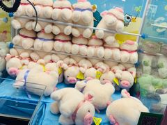-大鲁阁保龄球(苏州园区店)