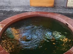 -麦积山温泉