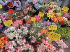 -循礼门鲜花花市(武汉循礼门店)