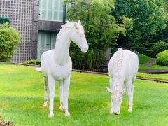 -春晖园度假酒店温泉