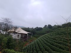 -帐篷客·溪龙茶谷度假酒店