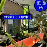 🐟 念念不忘这一碗鱼汤！