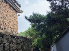 -白水寺森林公园