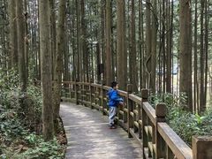 -姑婆山旅游区
