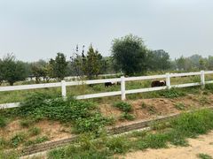 -北戴河集发农业梦想王国