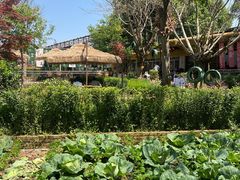 -苏记溪河鲢鱼庄(天府新区店)