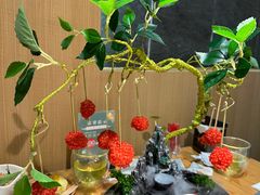 -一朵菌·野生菌探索家火锅(南亚店)
