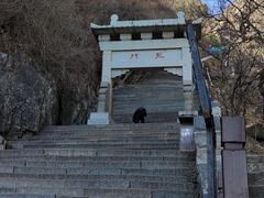 -泰山风景名胜区