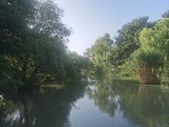 -青枫公园