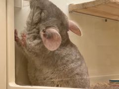 -龙猫仔乐园(惠福东路店)