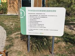 -爪吧宠物乐园·宠物泳池(温榆河示范区店)