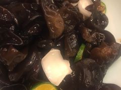 双鲜木耳-宝轩渔府·老字号海鲜·正宗津菜(水上店)