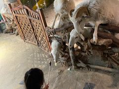 -正佳雨林生态植物园